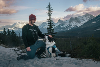 Peaks and Paws Unisex organic sweatshirt - Wander Trails